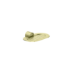 NR2581BG